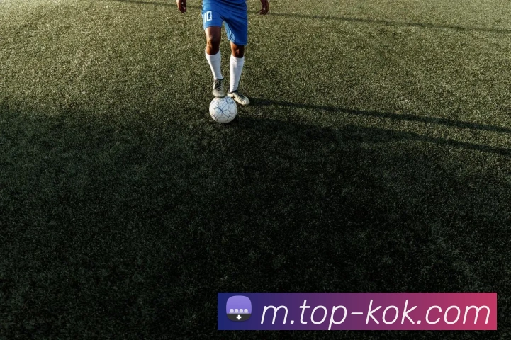 KOK体育APP 封面图
